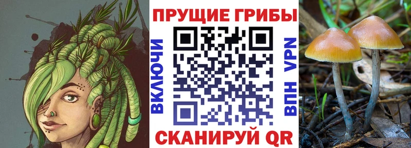 Галлюциногенные грибы ЛСД  Змеиногорск 